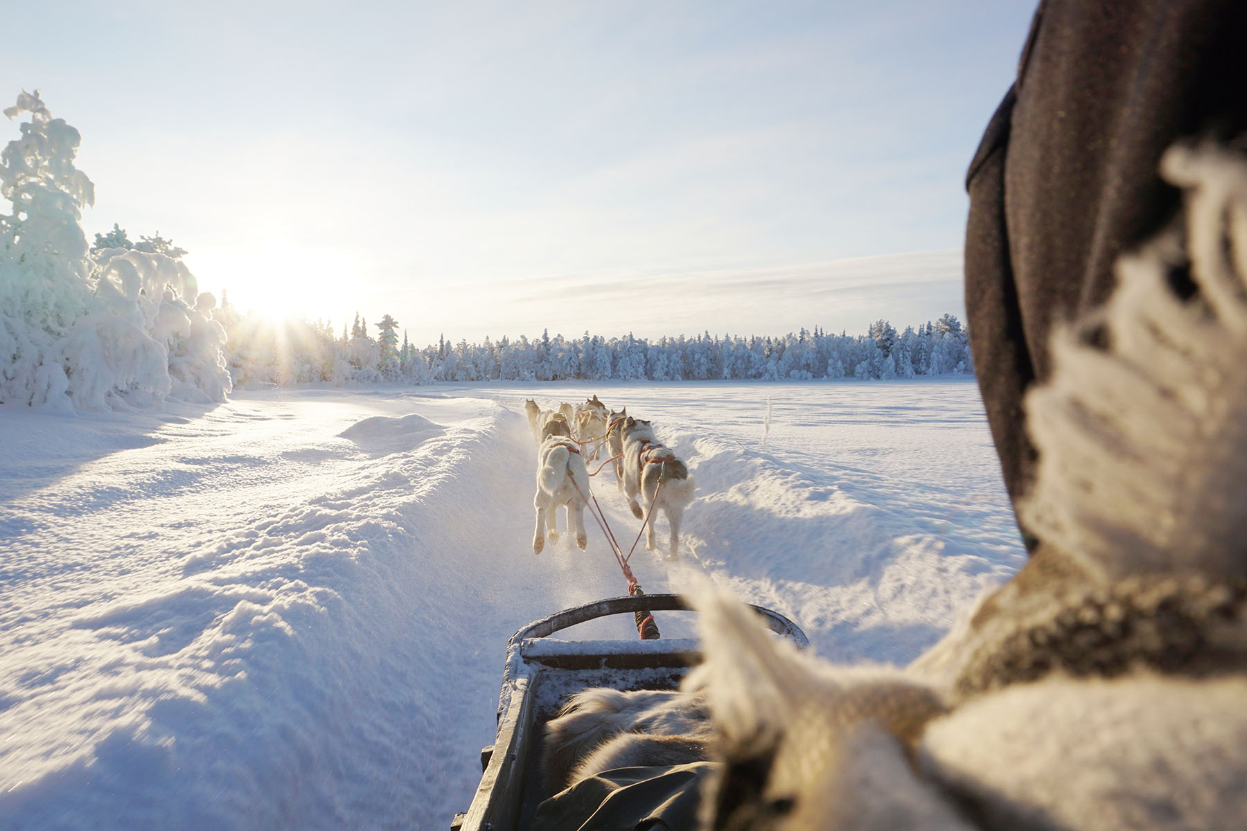 lapland